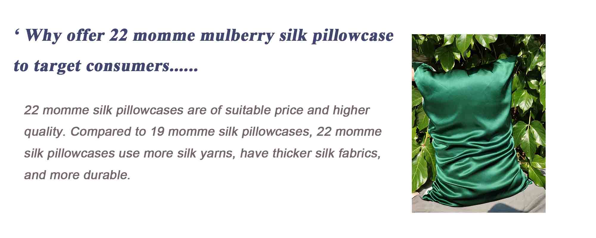 silk pillowcase cover